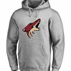 ARIZONA COYOTES FANATICS MEN'S PRIMARY LOGO HOODIE